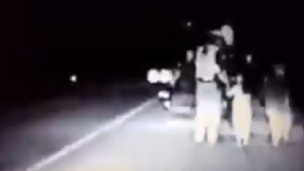 WATCH: Dash cam video captures heartwarming moment between child, trooper