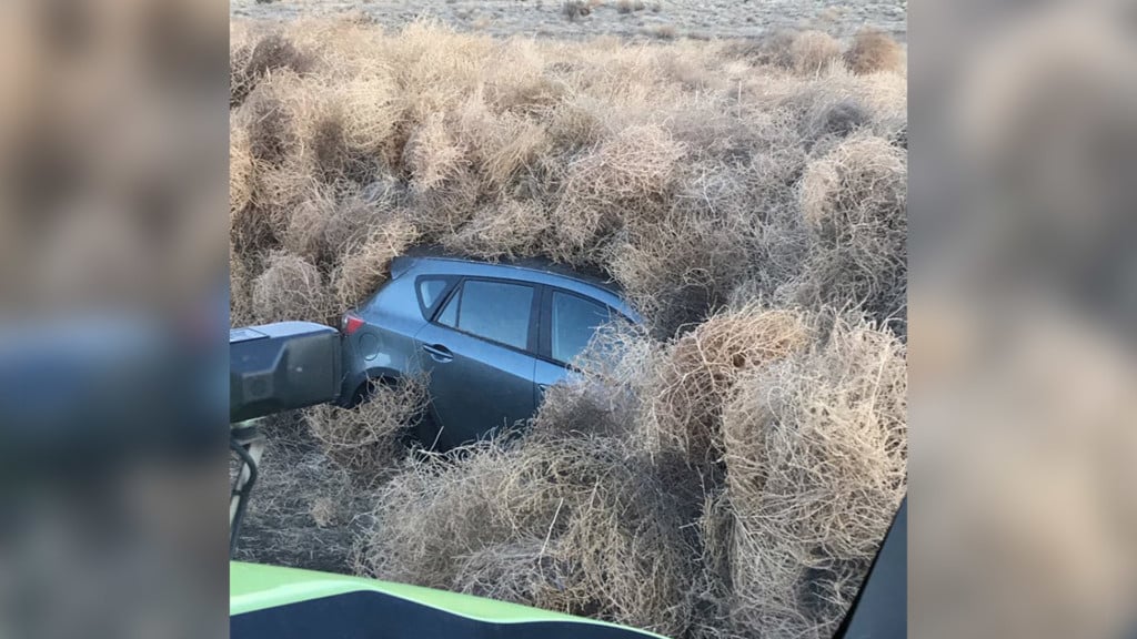Cars in southern Washington get caught in tumblewoods