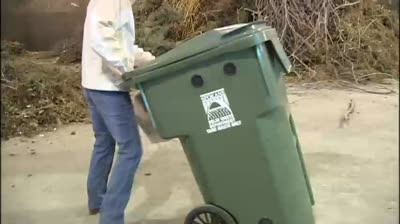 Apple maggot rules could trash Spokane yard waste program
