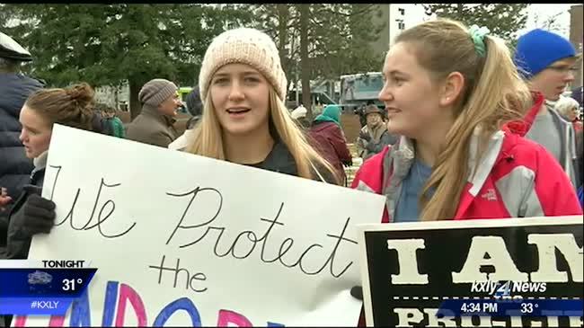 Weather cooperates as hundreds turn out for 3rd annual Walk for Life NW