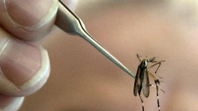 West Nile virus detected in Grant County mosquitoes