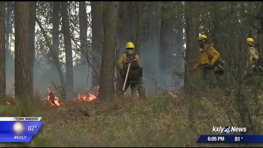 Working 4 You: Preparing your ‘Home Ignition Zone’ for wildfire season