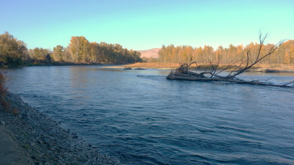 Man rescued after being stranded on log in Yakima River