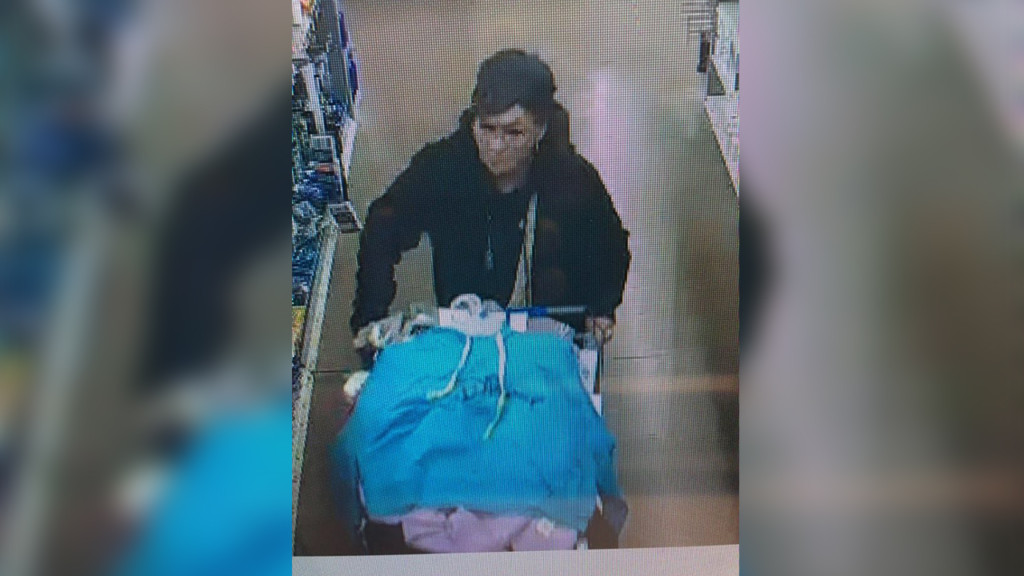 The woman suspected of stealing from Walmart.