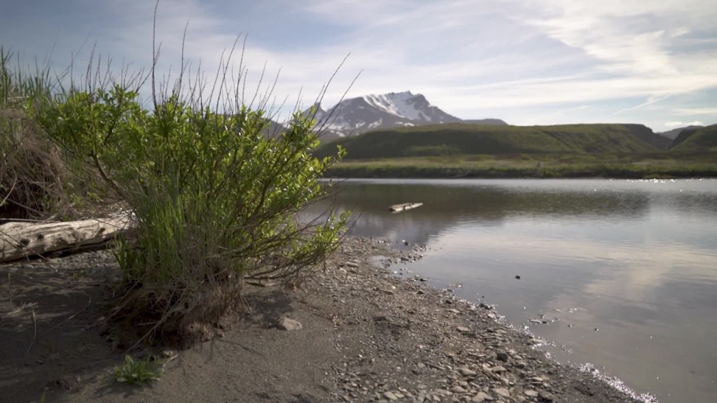 Lawsuit tries to stop mine in Alaskan salmon spawning areas