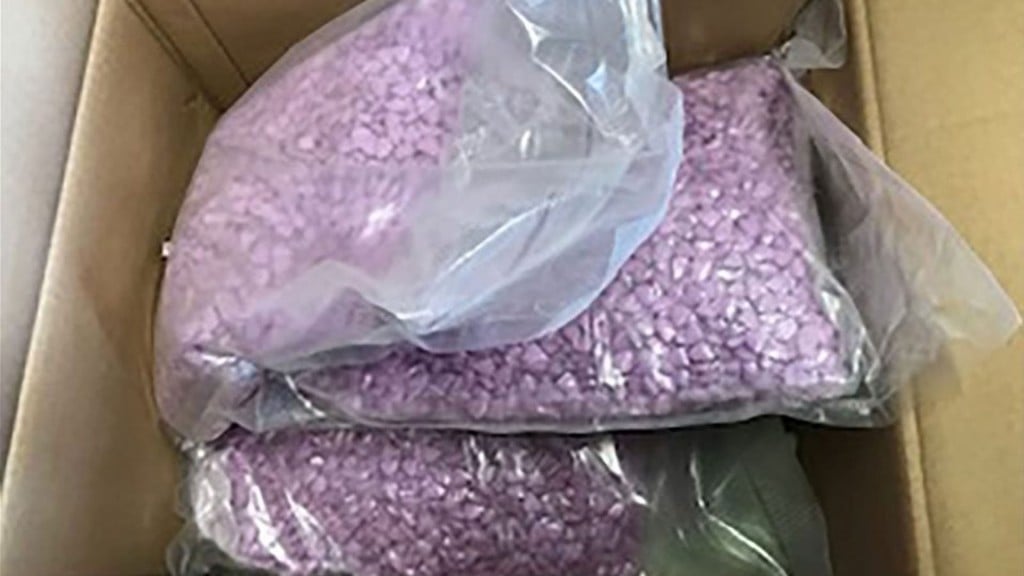 Nearly 25,000 ecstasy pills mistakenly mailed to couple
