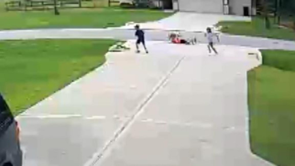 Caught on cam: Texas teenager rescues child from dog attack