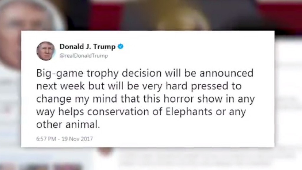 Trump: Administration will announce big-game trophy decision next week