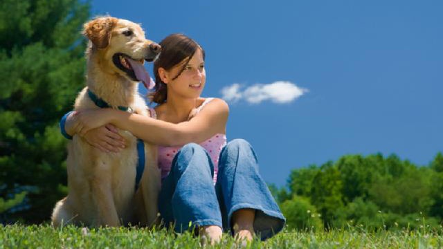Pet therapy: Man’s best friend as healer