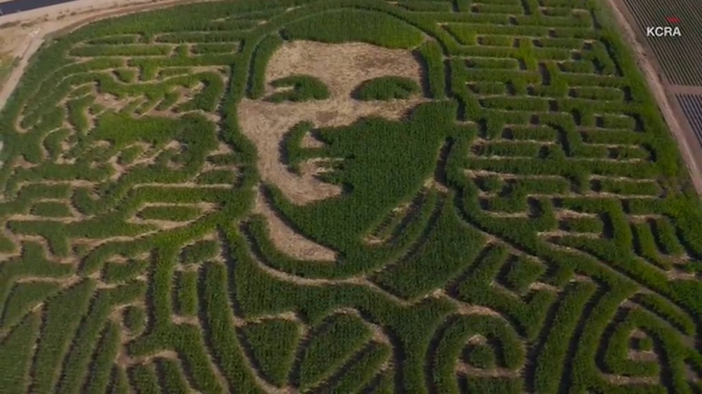 Slain California officer’s face adorns 10-acre corn maze
