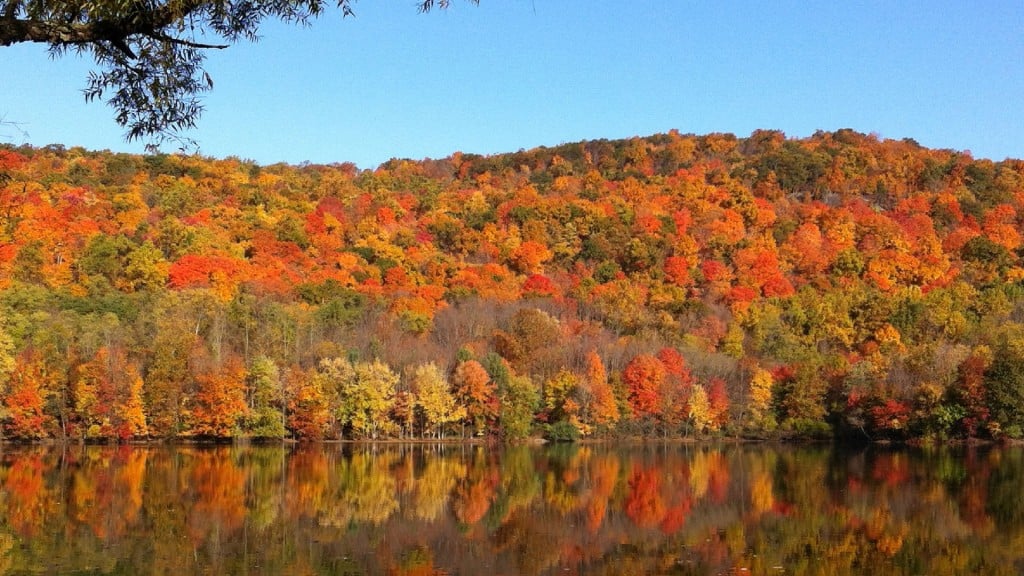 5 things you may not know as the first day of fall arrives