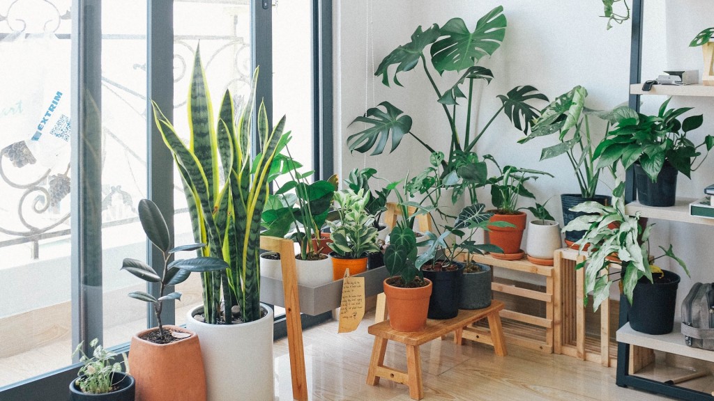 Houseplants are great, but they don’t clean air