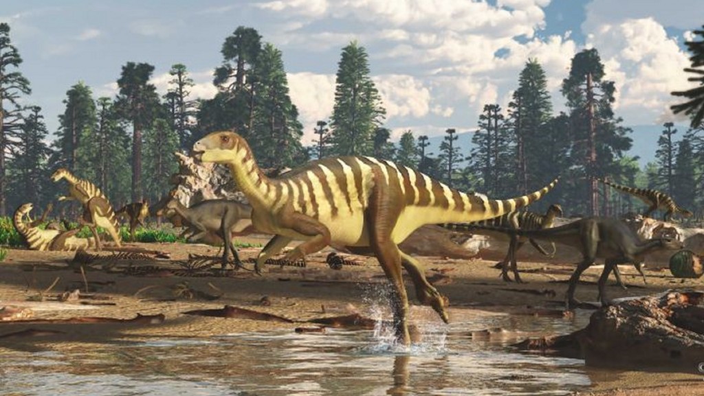 Dinosaur fossil found in Australia was wallaby sized