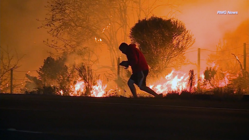 Man braves wildfires to save rabbit