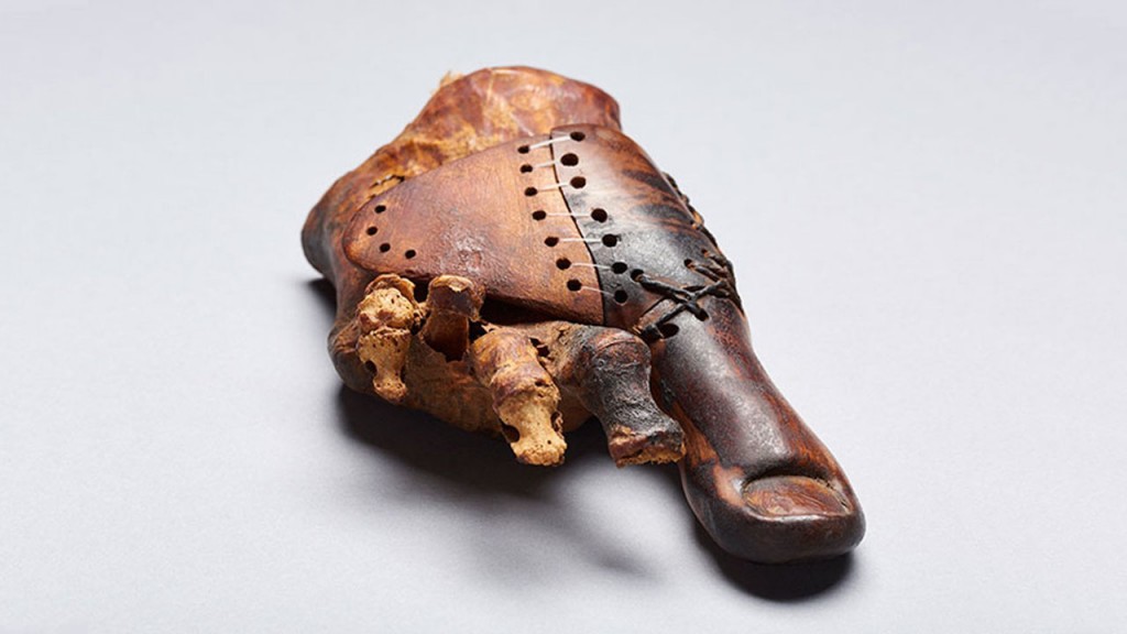Ancient Egyptian’s wooden toe is sophisticated prosthetic