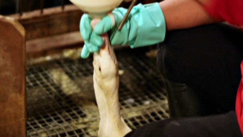 NYC will ban restaurants and grocery stores from selling foie gras
