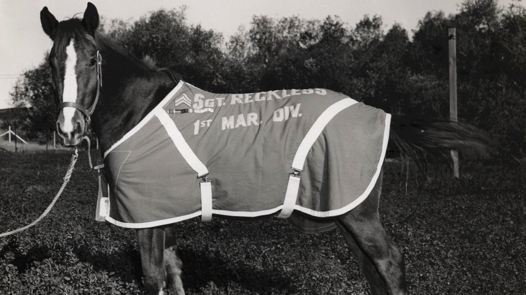 The legend of Sergeant Reckless, America’s greatest war horse