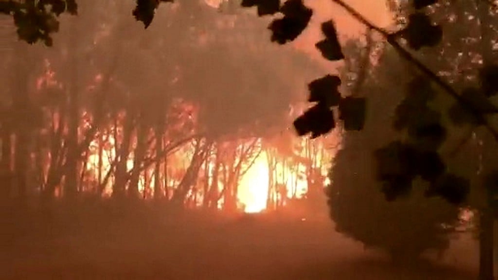 New South Wales in state of emergency as Australia bushfires rage