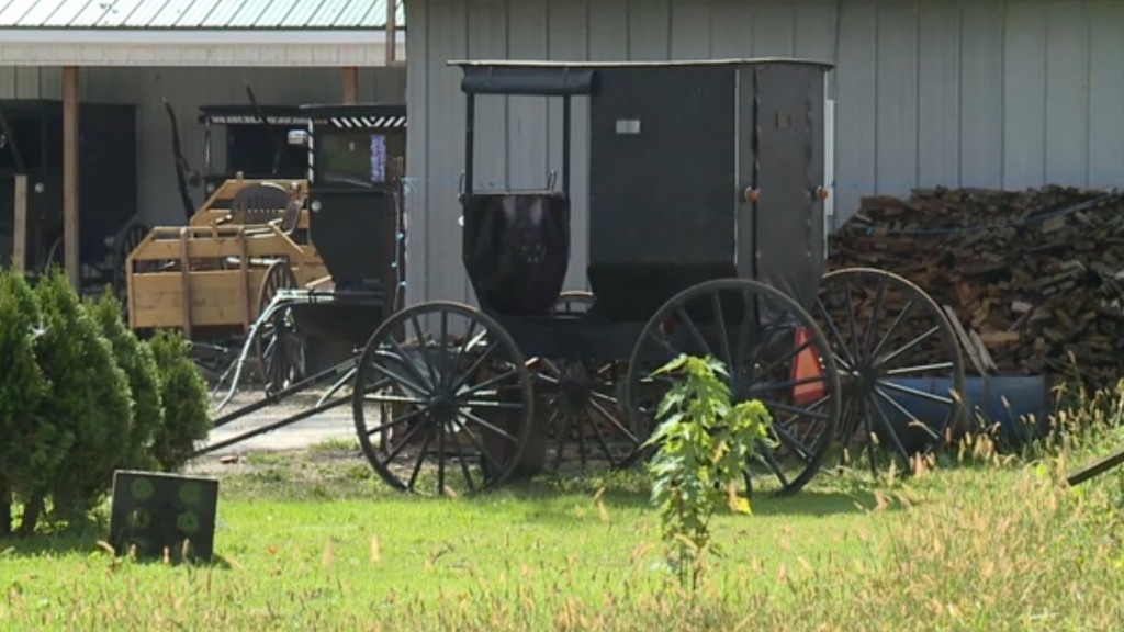 2 Amish men escape police after being pulled over for DUI in buggy