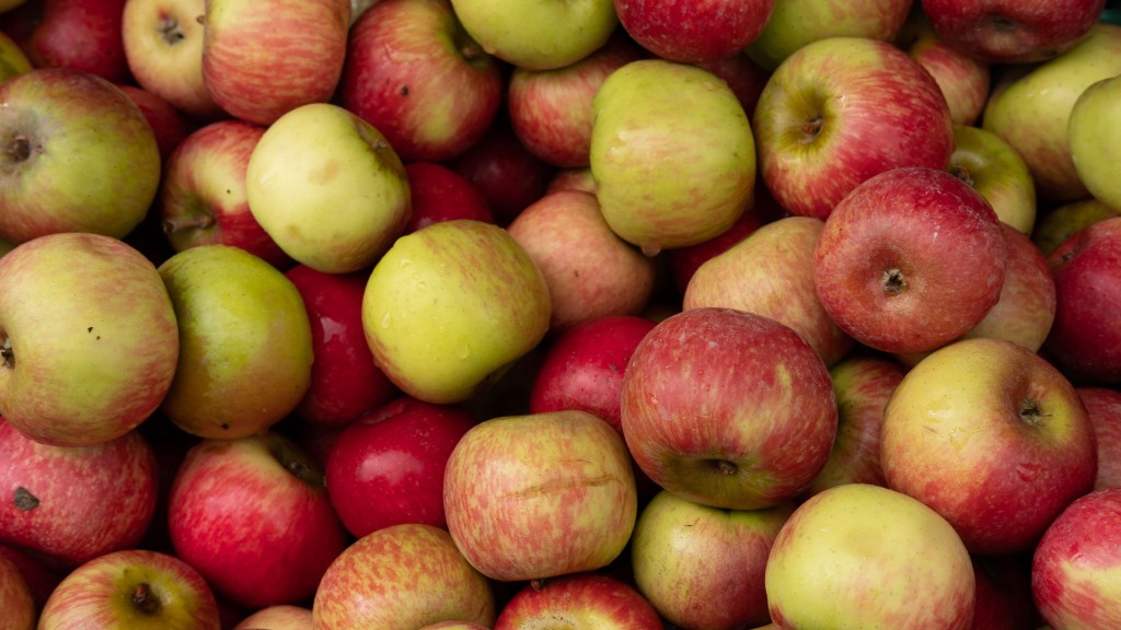Washington’s 2019 apple crop one of the largest in history