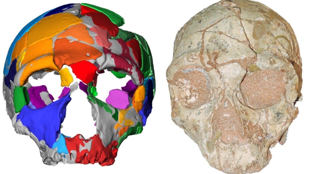 210,000-year-old human skull in Greece oldest found outside Africa