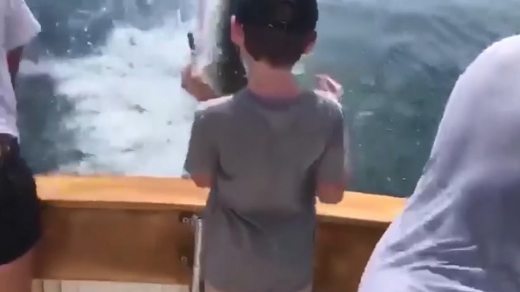 Great white shark steals boy’s catch