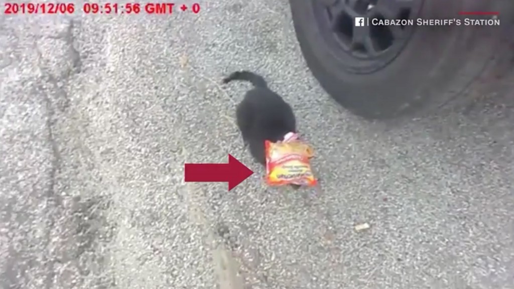 Cop lets the cat out of the (ramen) bag