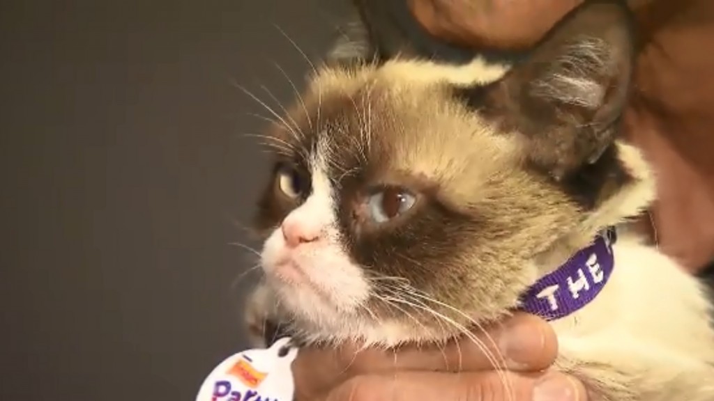 Grumpy Cat gets $710K in lawsuit