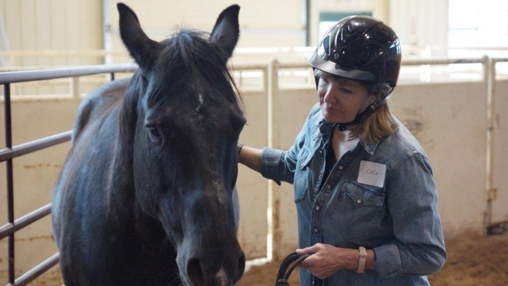 What executives can learn from a horse