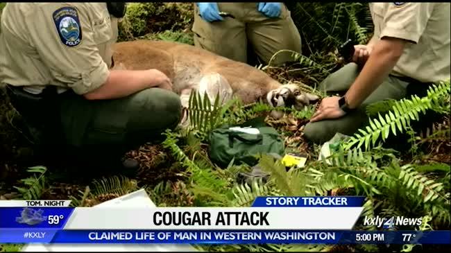 Agencies warn of cougars following fatal attack on cyclist