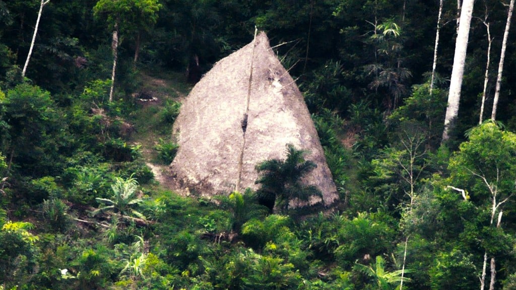 Never before seen Amazon tribe caught on drone video