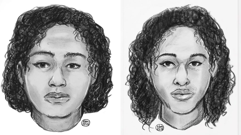 2 bodies found in Hudson River were a missing Va. teen and her sister