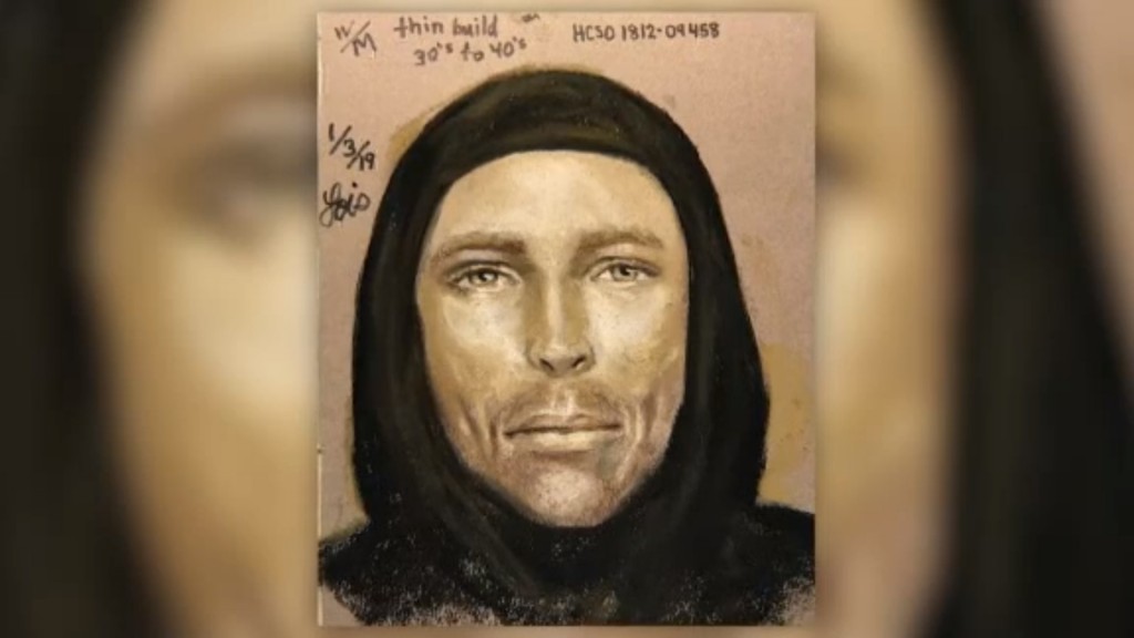 Sketch released in hunt for driver who gunned down 7-year-old girl