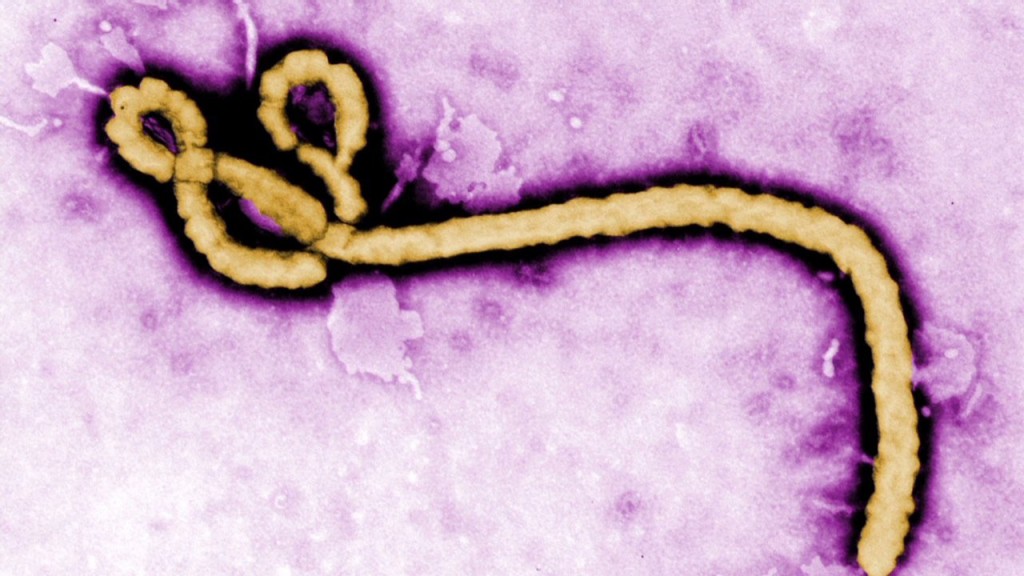 More than 1,000 Ebola cases reported in outbreak
