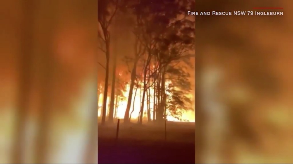 Bushfire turns treetops into towering inferno