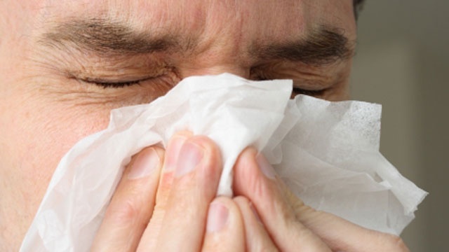 How to beat allergies this fall