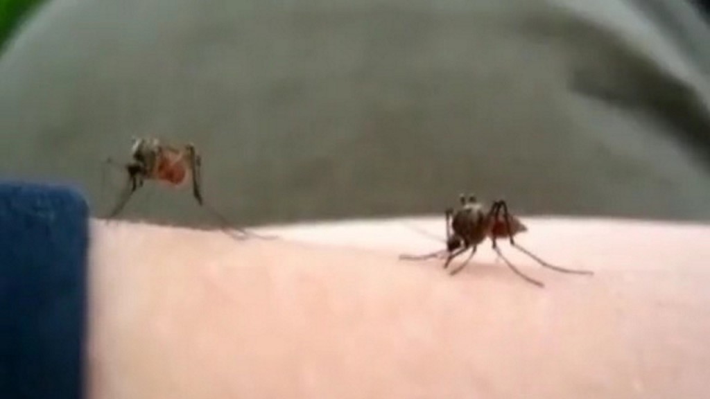 3 die from mosquito-borne illness EEE