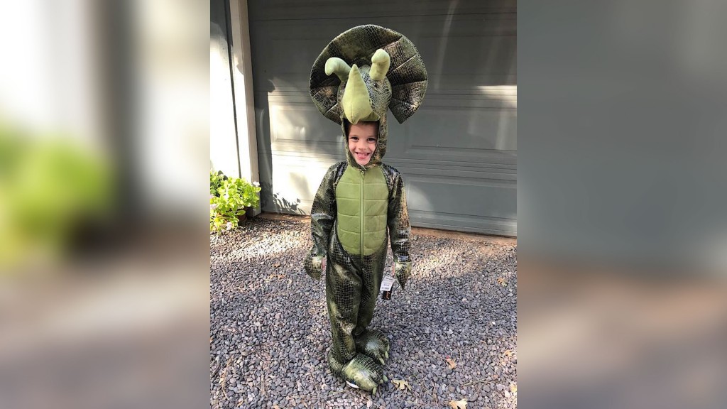 Strangers help boy replace dinosaur collection lost in Camp Fire