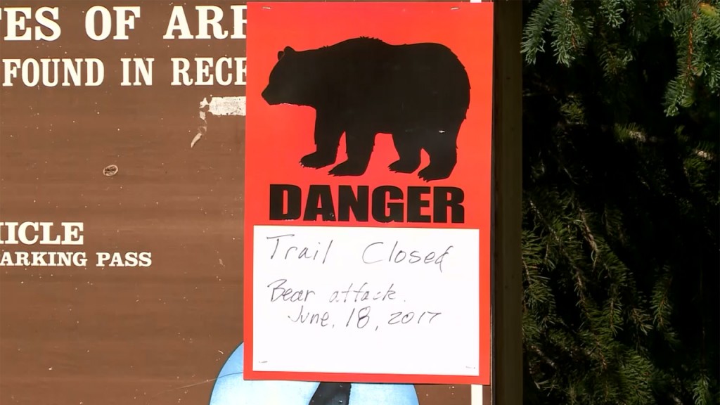 Two bear attacks, two deaths over two days in Alaska