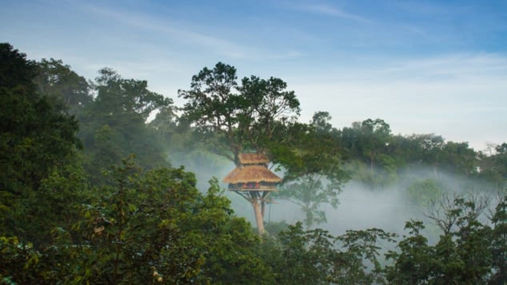 In Laos, spend the night in the world’s tallest treehouses