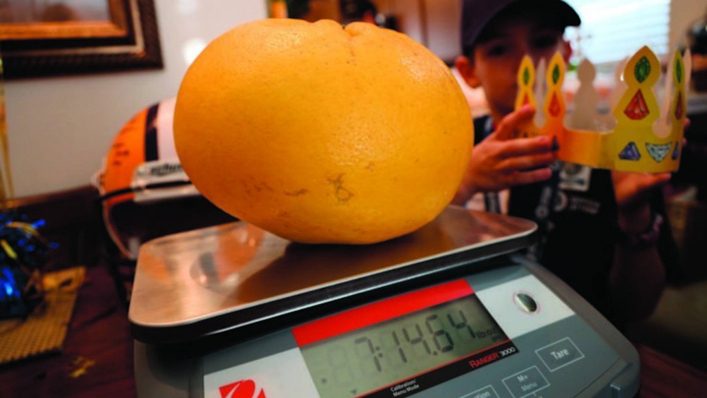 Louisiana couple grow world’s largest grapefruit