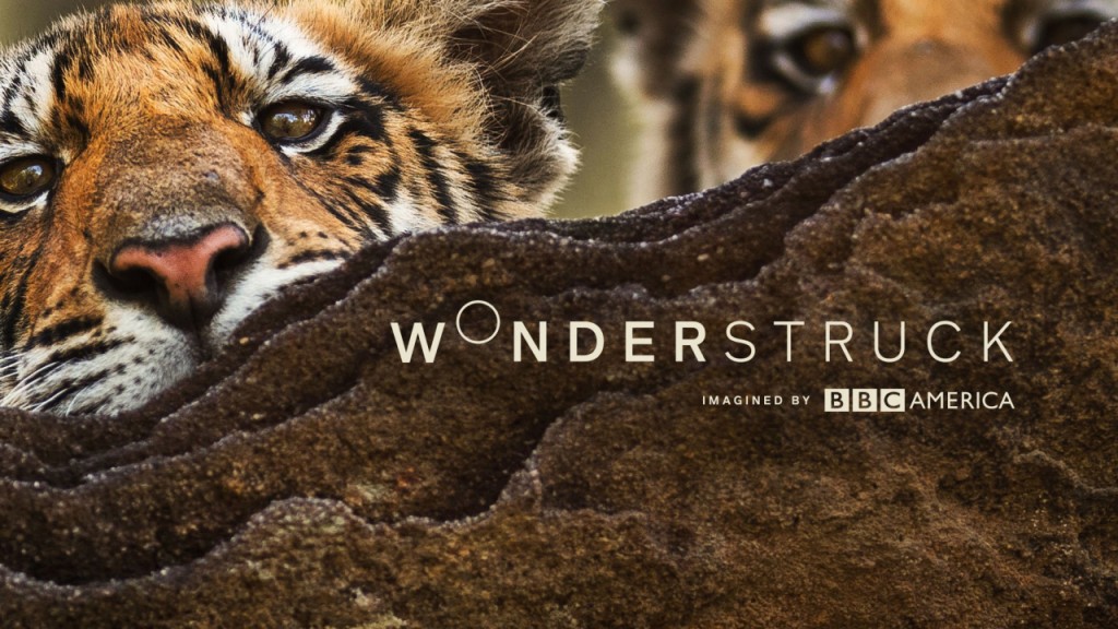 With ‘Wonderstruck,’ BBC America wants to give break from news