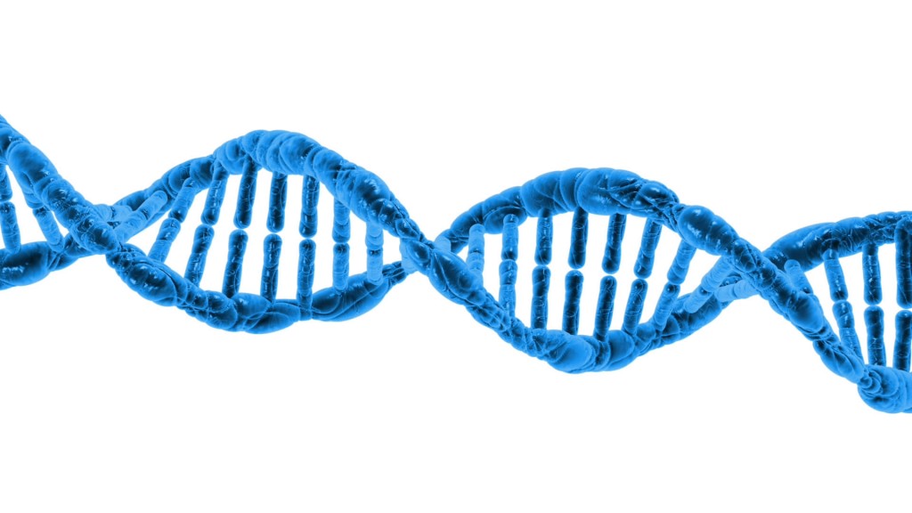 Lab test may identify dangerous gene mutations, study finds