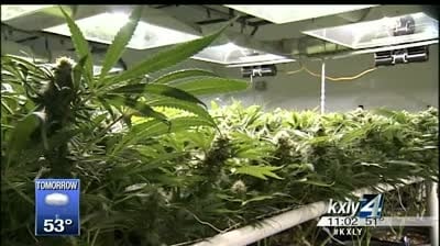Kettle Falls Five case could impact Wash. marijuana industry
