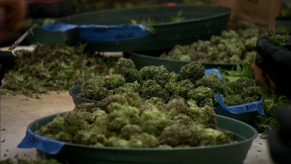 Illinois moves closer to legalizing marijuana