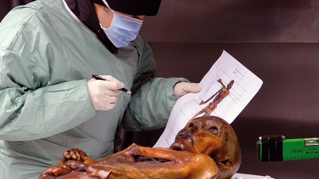 Science reveals the menu of Otzi the Iceman’s last meal