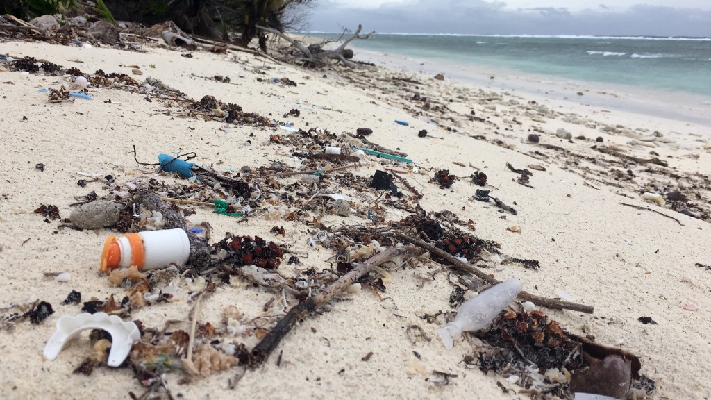 Plastic alternatives could make marine pollution even worse