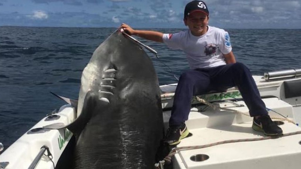 8-year-old reels in 692-pound shark