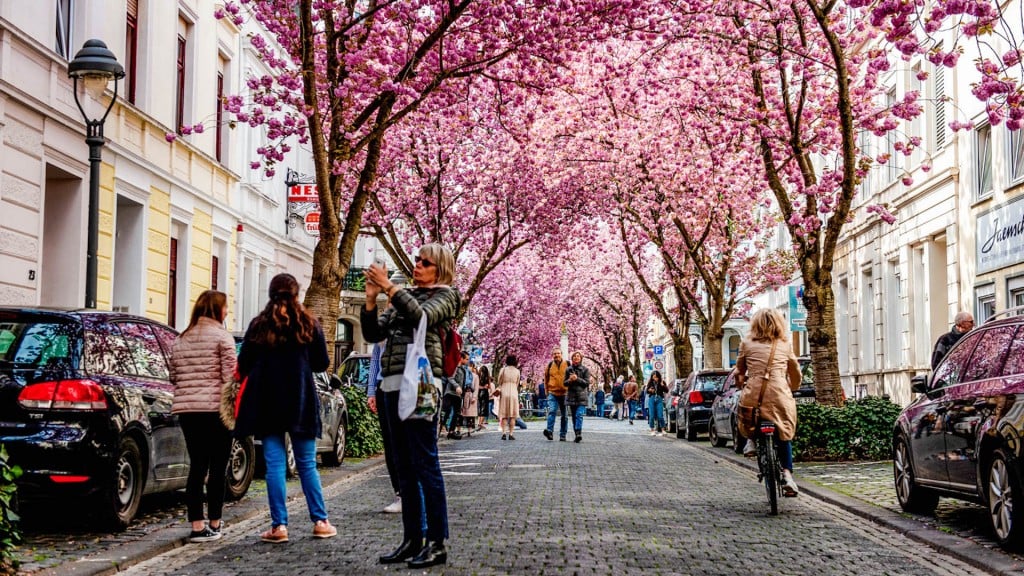 The world’s most beautiful streets