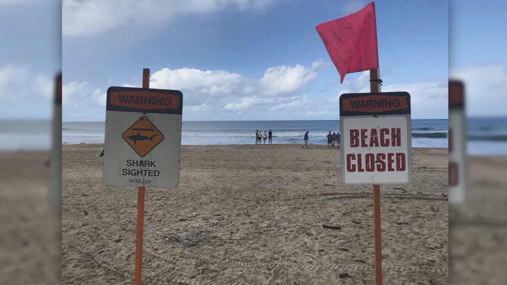 Hawaii’s Hanalei Bay closed after shark attacks surfer